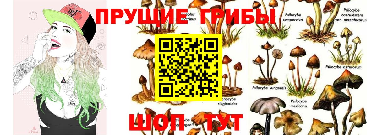 Псилоцибиновые грибы мухоморы Воркута