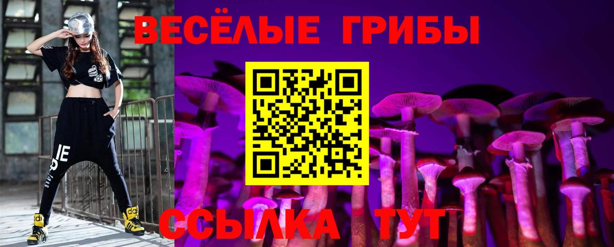 Псилоцибиновые грибы MAGIC MUSHROOMS  Вход с VPN  Воркута 